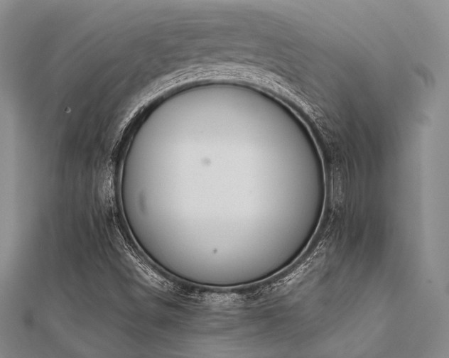 X0000112111498200908041530