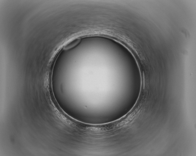 X0000112111500200908041530