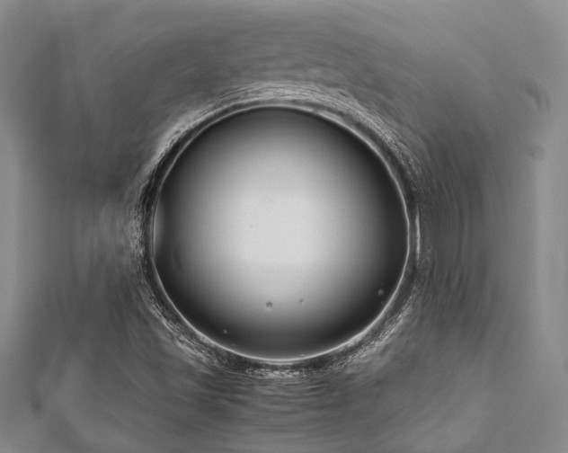 X0000112111501200908041530