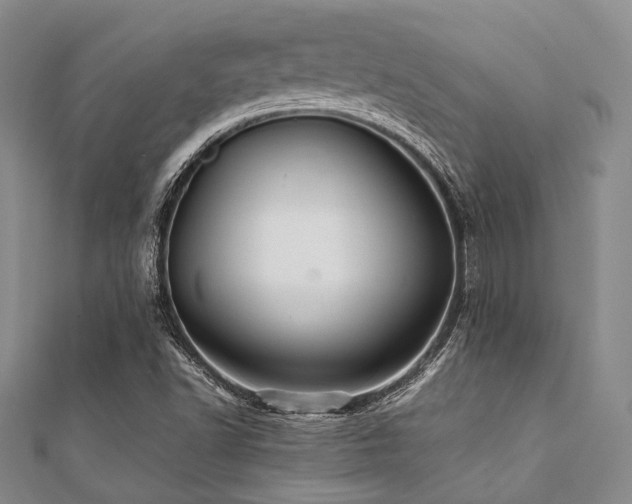 X0000112111502200908041530