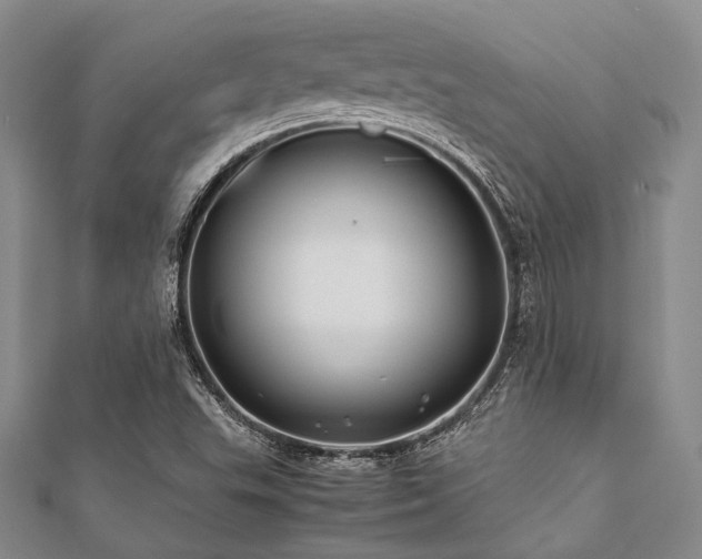 X0000112111503200908041530