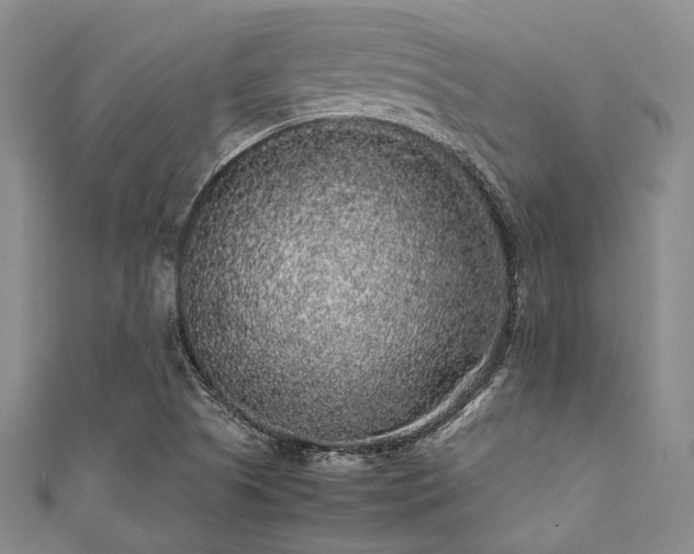 X0000112111505200908041530