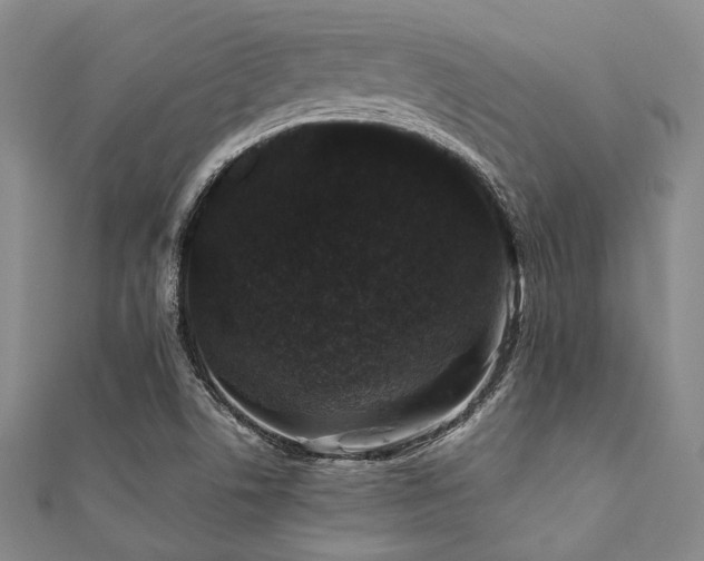 X0000112111506200908041530