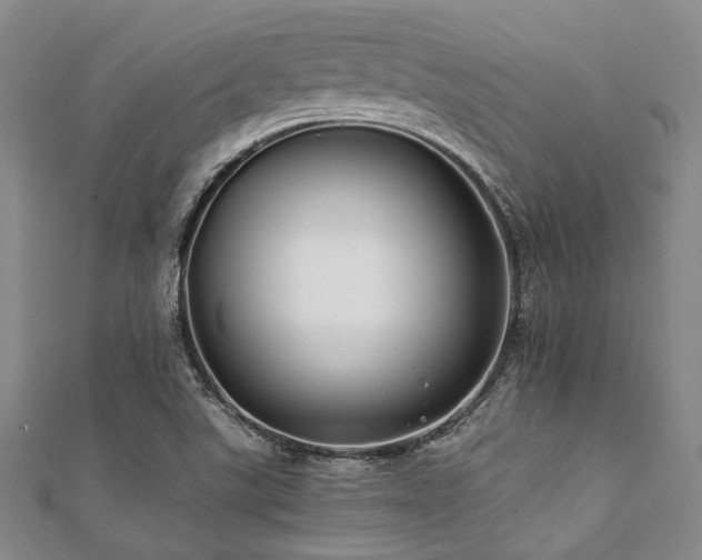 X0000112111507200908041530