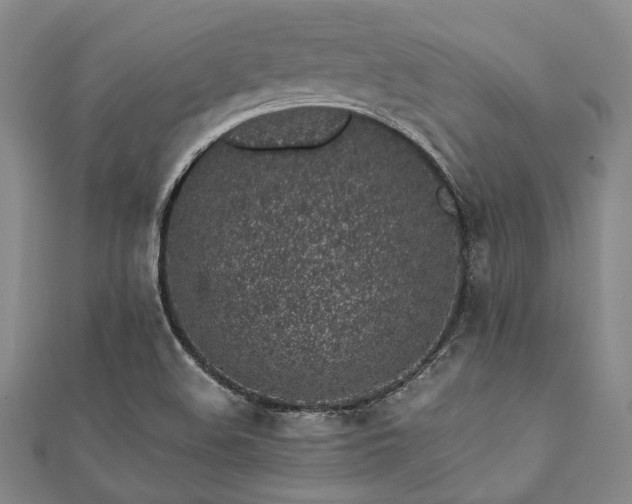 X0000112111508200908041530