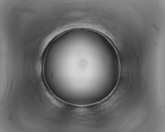 X0000112111511200908041530