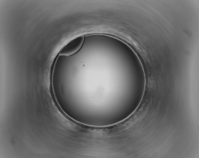 X0000112111512200908041530