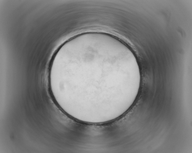 X0000112111514200908041530