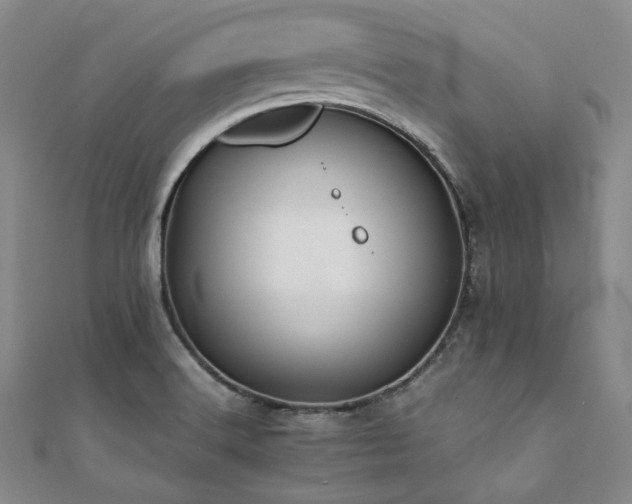 X0000112111516200908041530