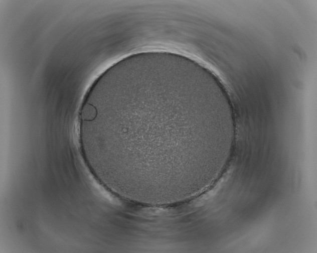 X0000112111517200908041530