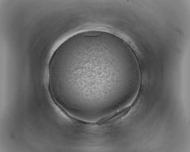 X0000112111520200908041530