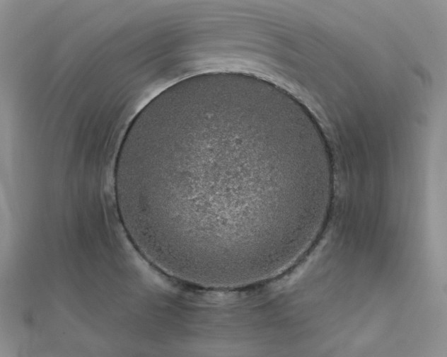 X0000112111521200908041530