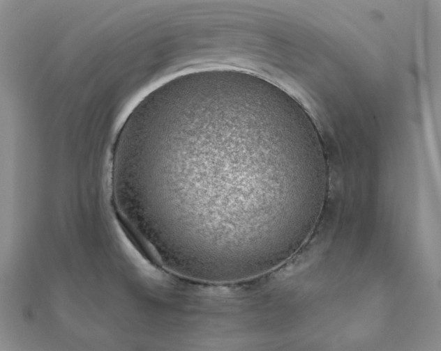 X0000112111524200908041530