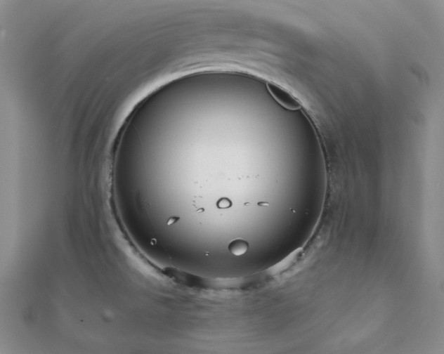 X0000112111526200908041530