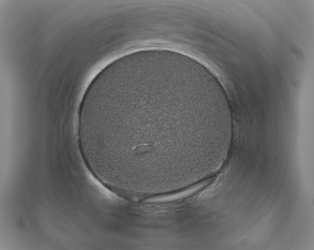 X0000112111527200908041530