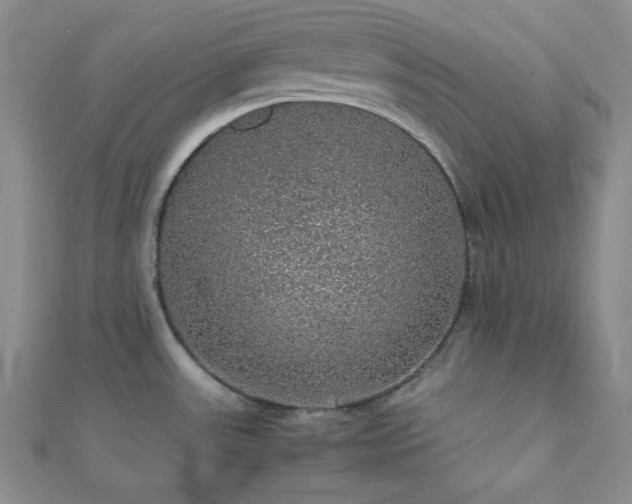 X0000112111531200908041530