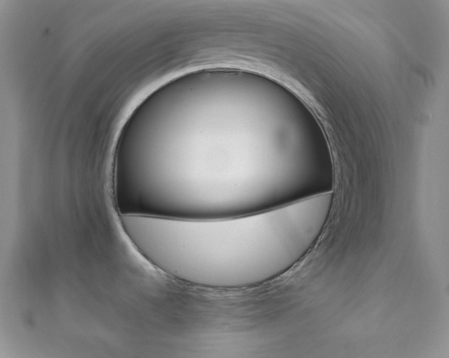 X0000112111536200908041530