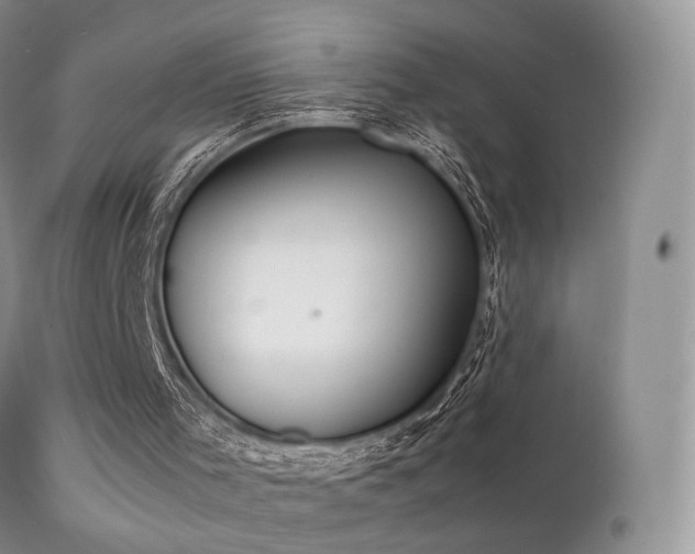 X0000112110001200908111453