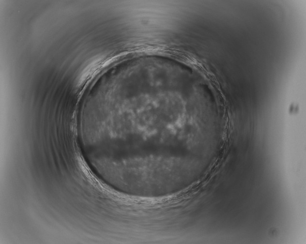 X0000112110002200908111453