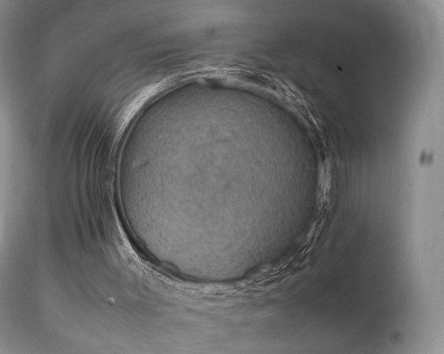 X0000112110003200908111453