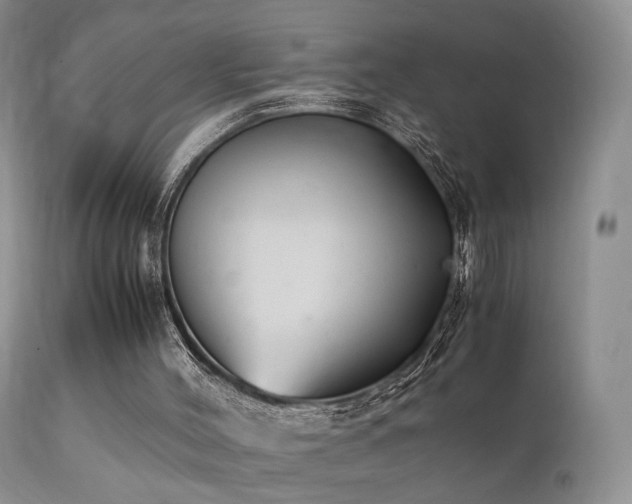 X0000112110004200908111453