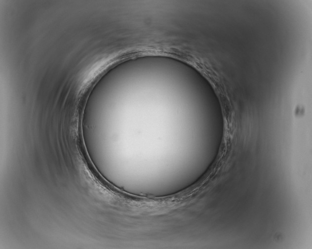 X0000112110005200908111453