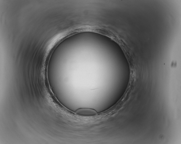 X0000112110006200908111453