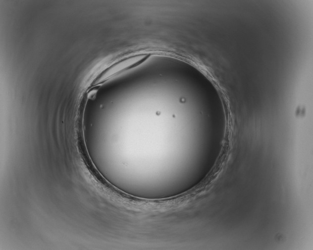 X0000112110007200908111453