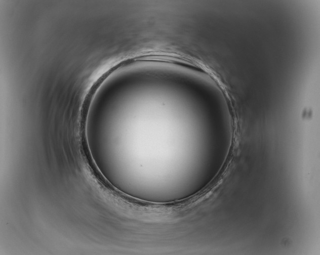 X0000112110008200908111453