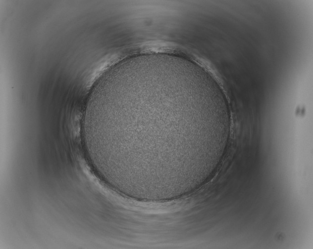 X0000112110010200908111453