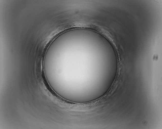 X0000112110011200908111453