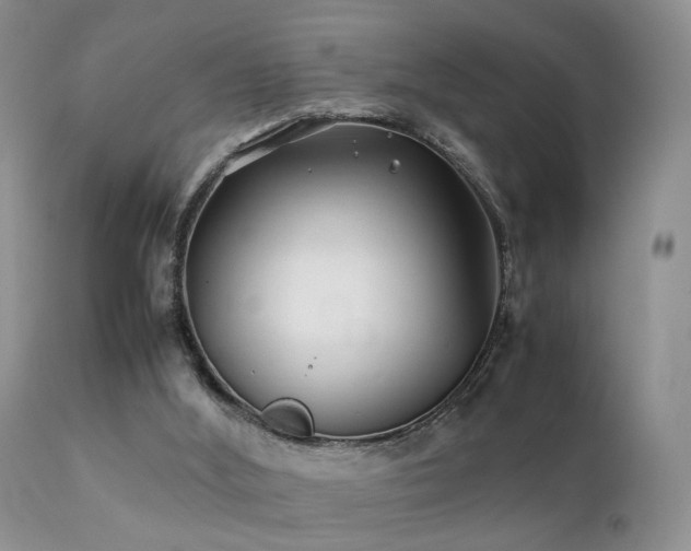 X0000112110012200908111453