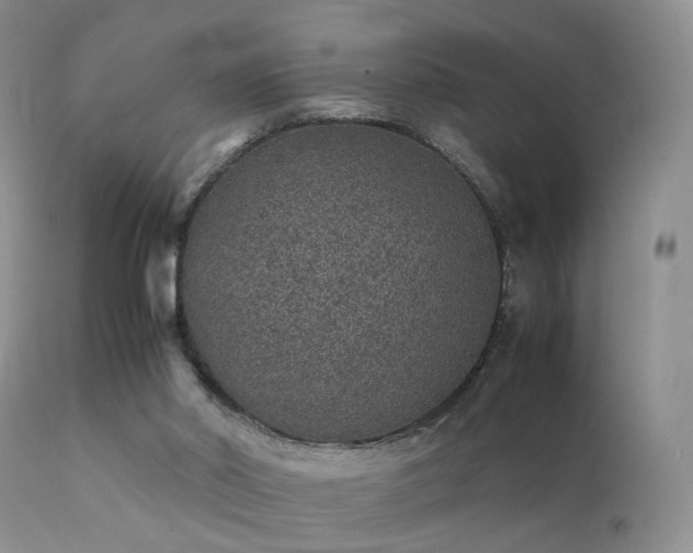 X0000112110014200908111453