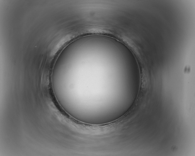 X0000112110015200908111453