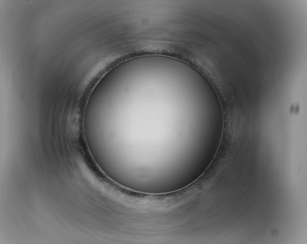 X0000112110016200908111453