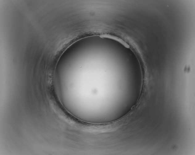 X0000112110017200908111453