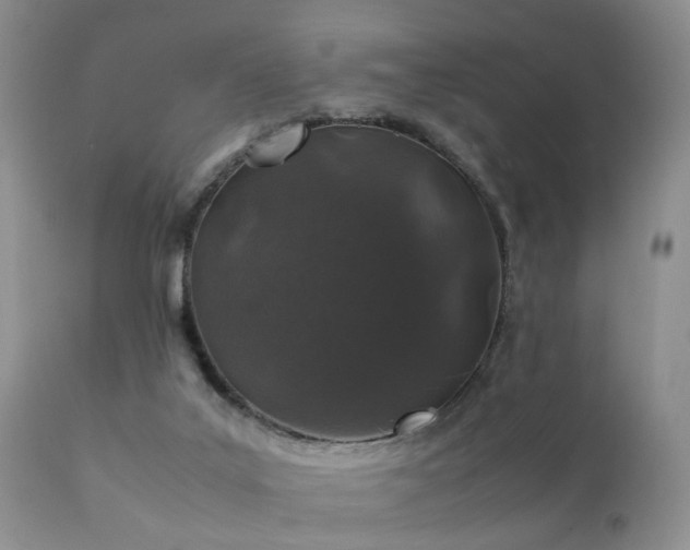 X0000112110019200908111453