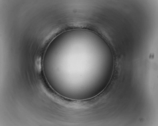 X0000112110020200908111453