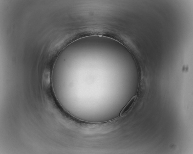 X0000112110021200908111453