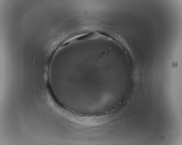 X0000112110023200908111453