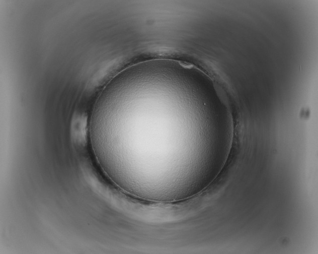 X0000112110024200908111453