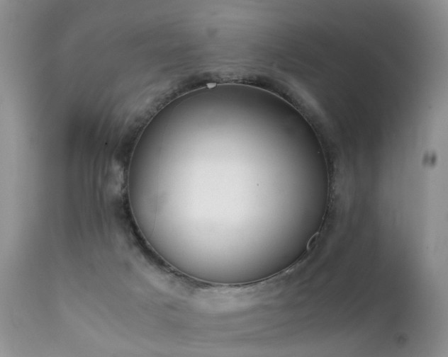 X0000112110025200908111453