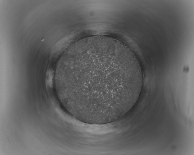 X0000112110026200908111453