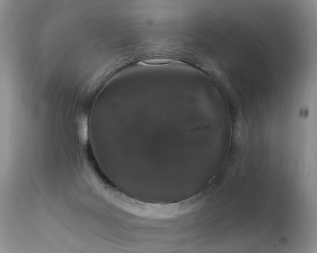 X0000112110027200908111453