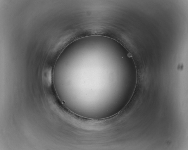 X0000112110028200908111452