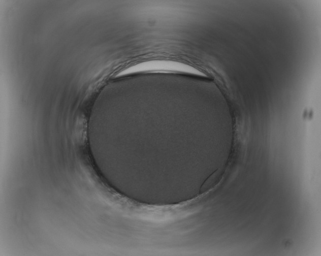 X0000112110029200908111452