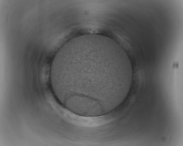 X0000112110030200908111452