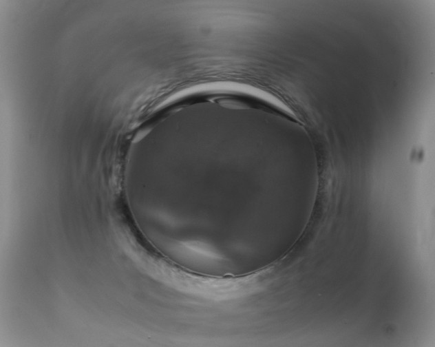 X0000112110031200908111452