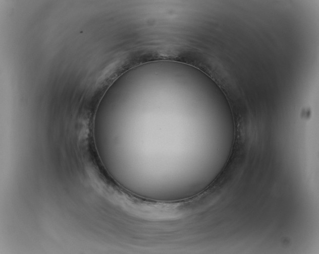 X0000112110032200908111452