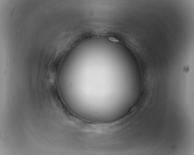 X0000112110033200908111452